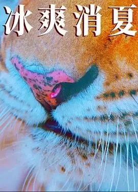 《寒冰白血》：一部触及灵魂的医疗悬疑佳作，揭露人性深处的挣扎与救赎